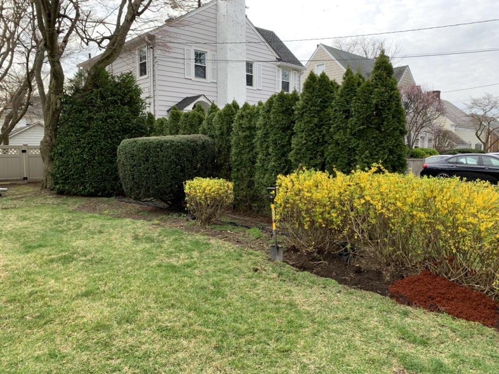 Sammy's Landscaping custom garden and landscape design with privacy hedges