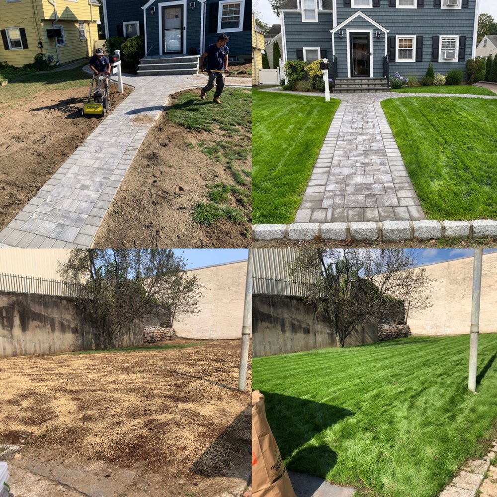 Sammy's Landscaping lawn restoration and turf seeding