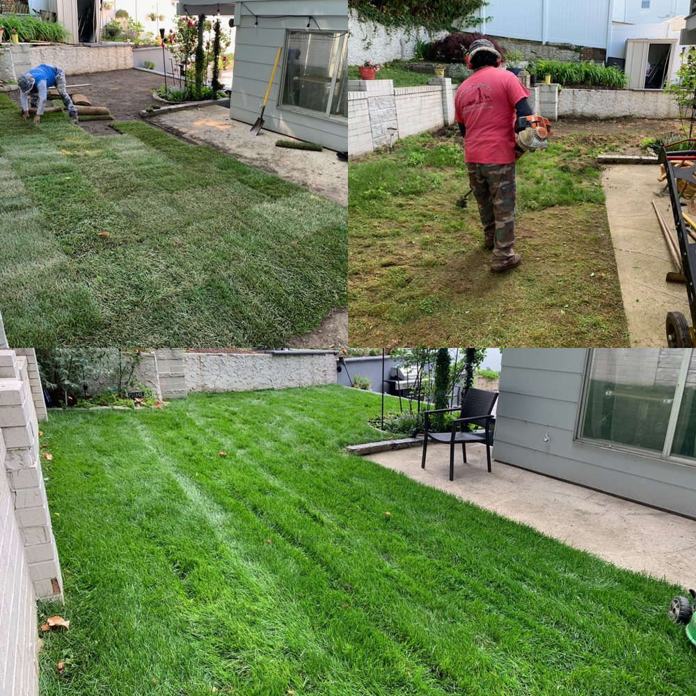 Sammy's Landscaping crew performing lawn maintenance and turf installation